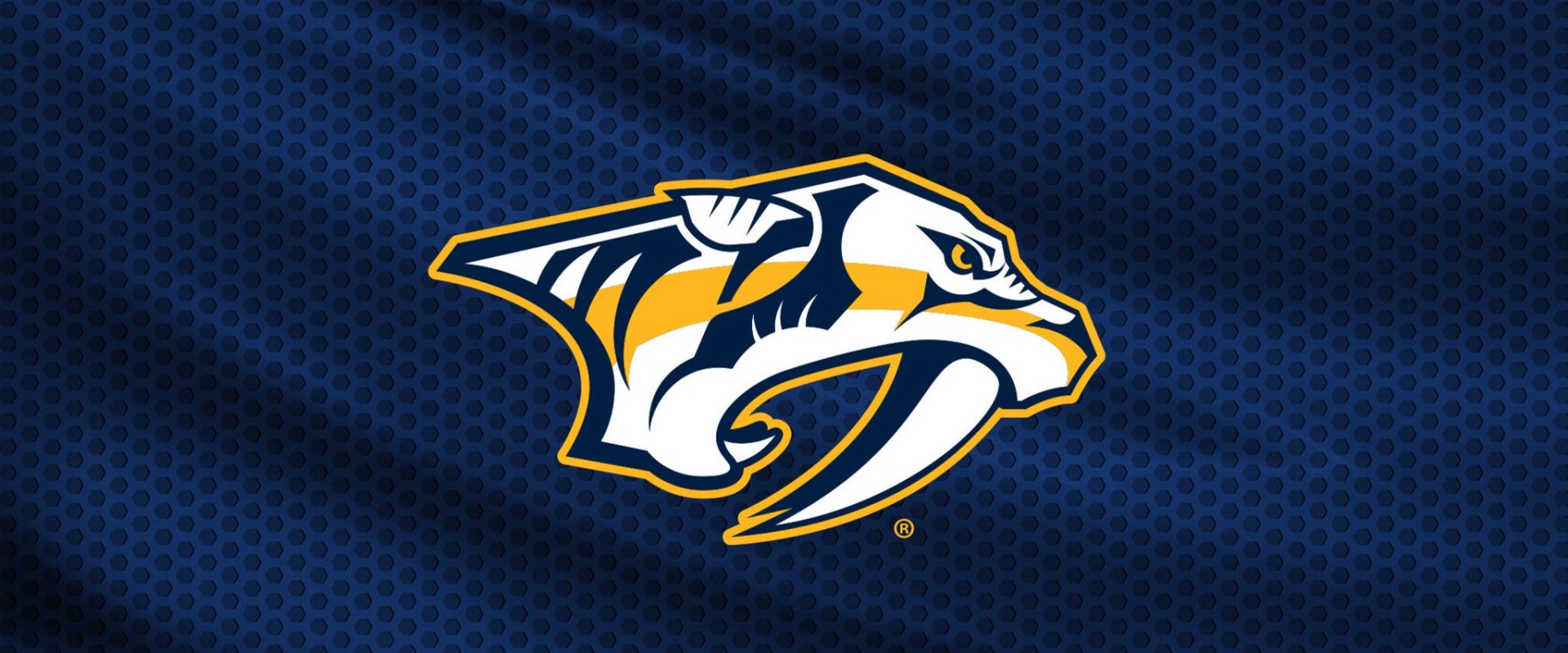 Everything You Need to Know About Nashville Predators Hockey Games