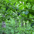 Explore Beaman Park Nature Center in Nashville Outdoors