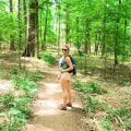 Explore Long Hunter State Park