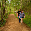 Discover Radnor Lake State Park - A Nashville Tourist Attraction