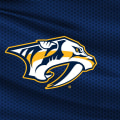 Everything You Need to Know About Nashville Predators Hockey Games