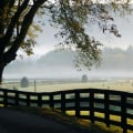 Explore Hamilton Creek Recreation Area: A Nashville Outdoor Hotspot