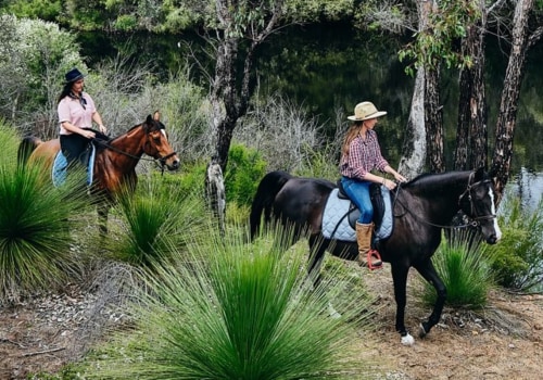 Exploring Horseback Riding in Percy Warner Park