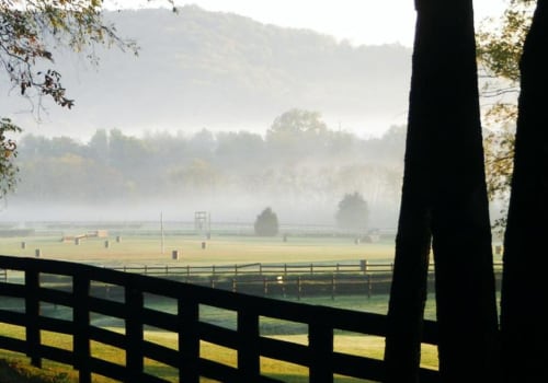 Explore Hamilton Creek Recreation Area: A Nashville Outdoor Hotspot
